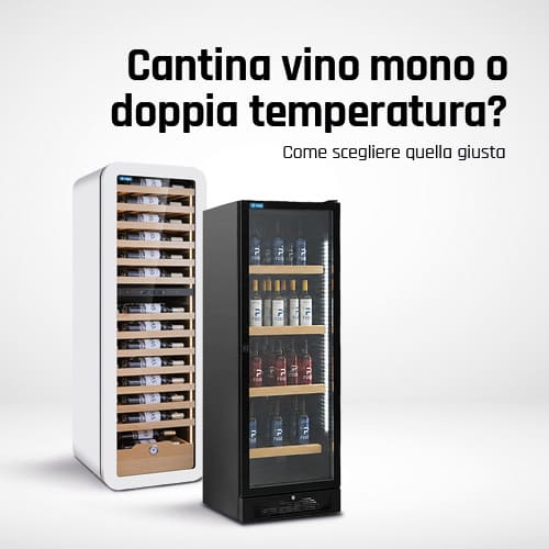 Cantina vino mono o doppia temperatura? Come scegliere quella giusta per il tuo locale